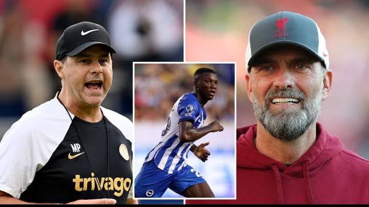 Liverpool hijack Moises Caicedo transfer as Jurgen Klopp imitates Mauricio Pochettino Chelsea plan