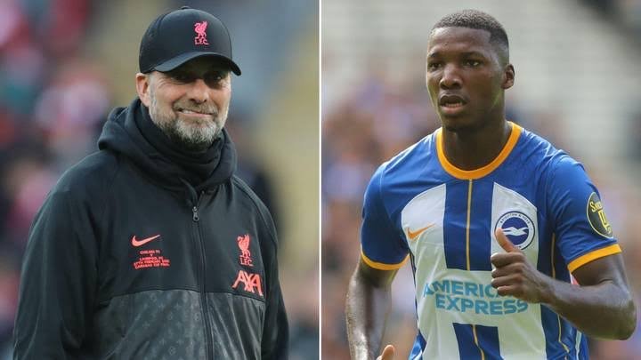 Liverpool hijack Moises Caicedo transfer as Jurgen Klopp imitates Mauricio Pochettino Chelsea plan