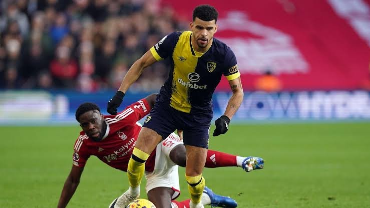 Solanke