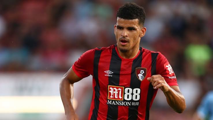 Dominic Solanke