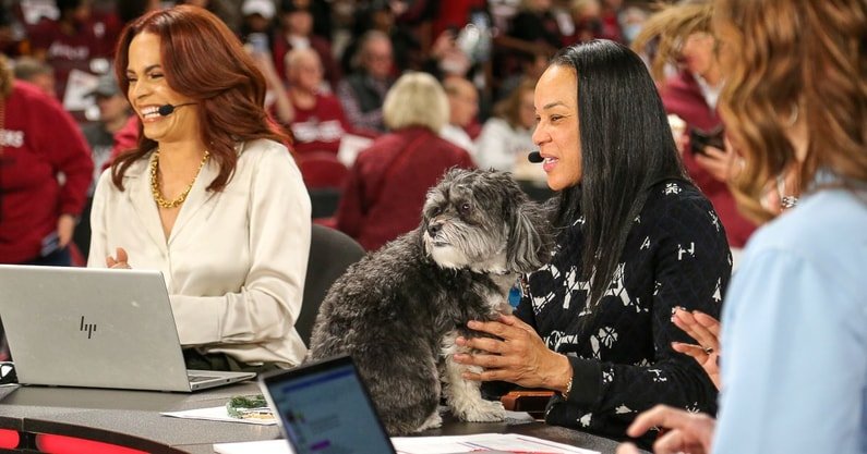 South Carolina Women's Basketball: 3-2-1 Breakdown – Key Players, Tough Questions, and a Standout Play from a Disheartening Weekend