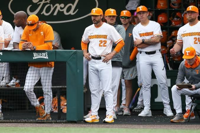 Resume Check: Looking ahead to South Carolina baseball's next opponent, the Tennessee Volunteers